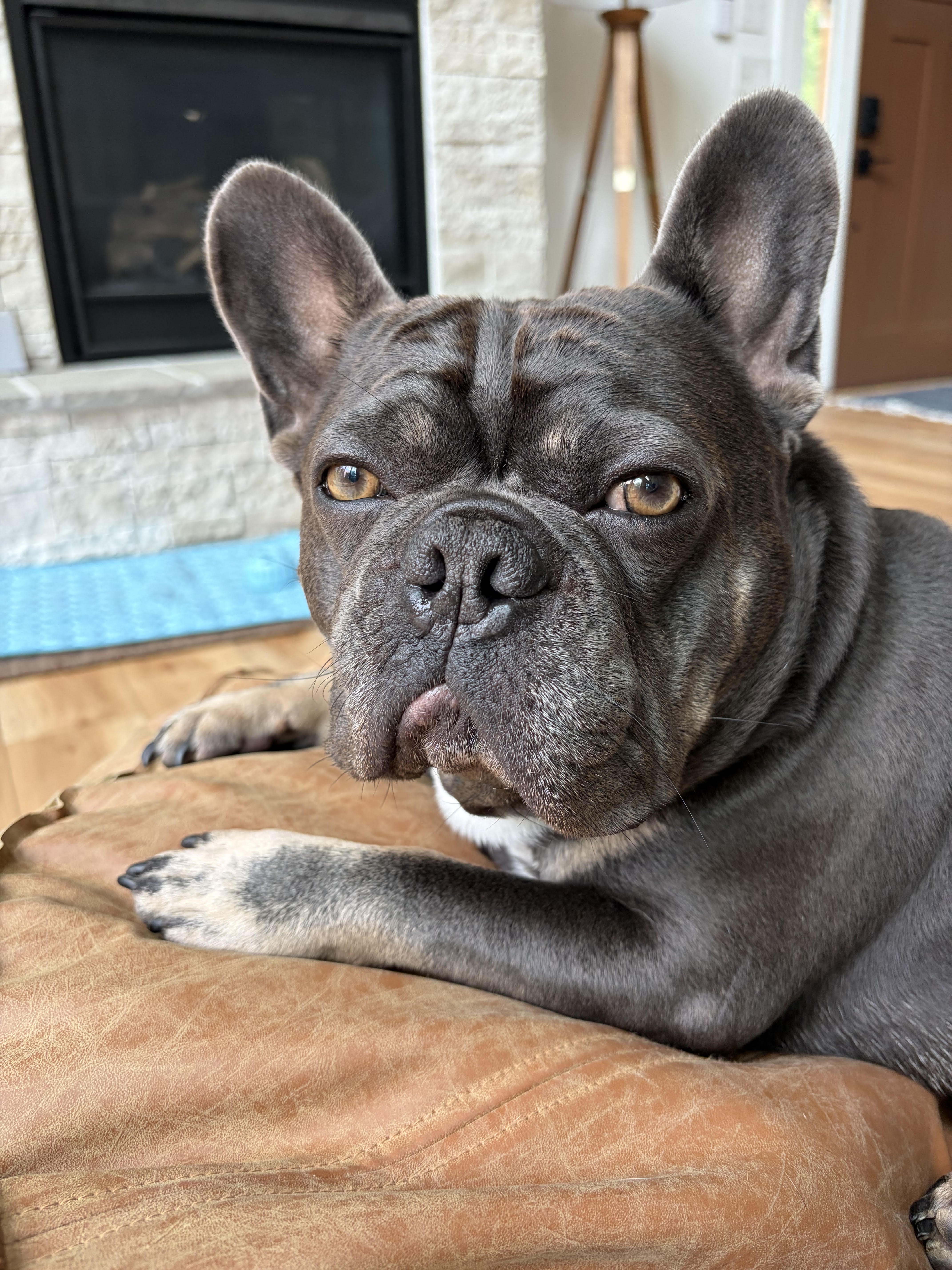 Frank's profile